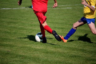 九游(jiuyou)官方网站-特色足球文化在国际博览会中亮相，展示国家软实力，世界足球文化